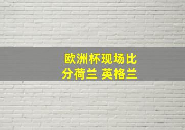 欧洲杯现场比分荷兰 英格兰